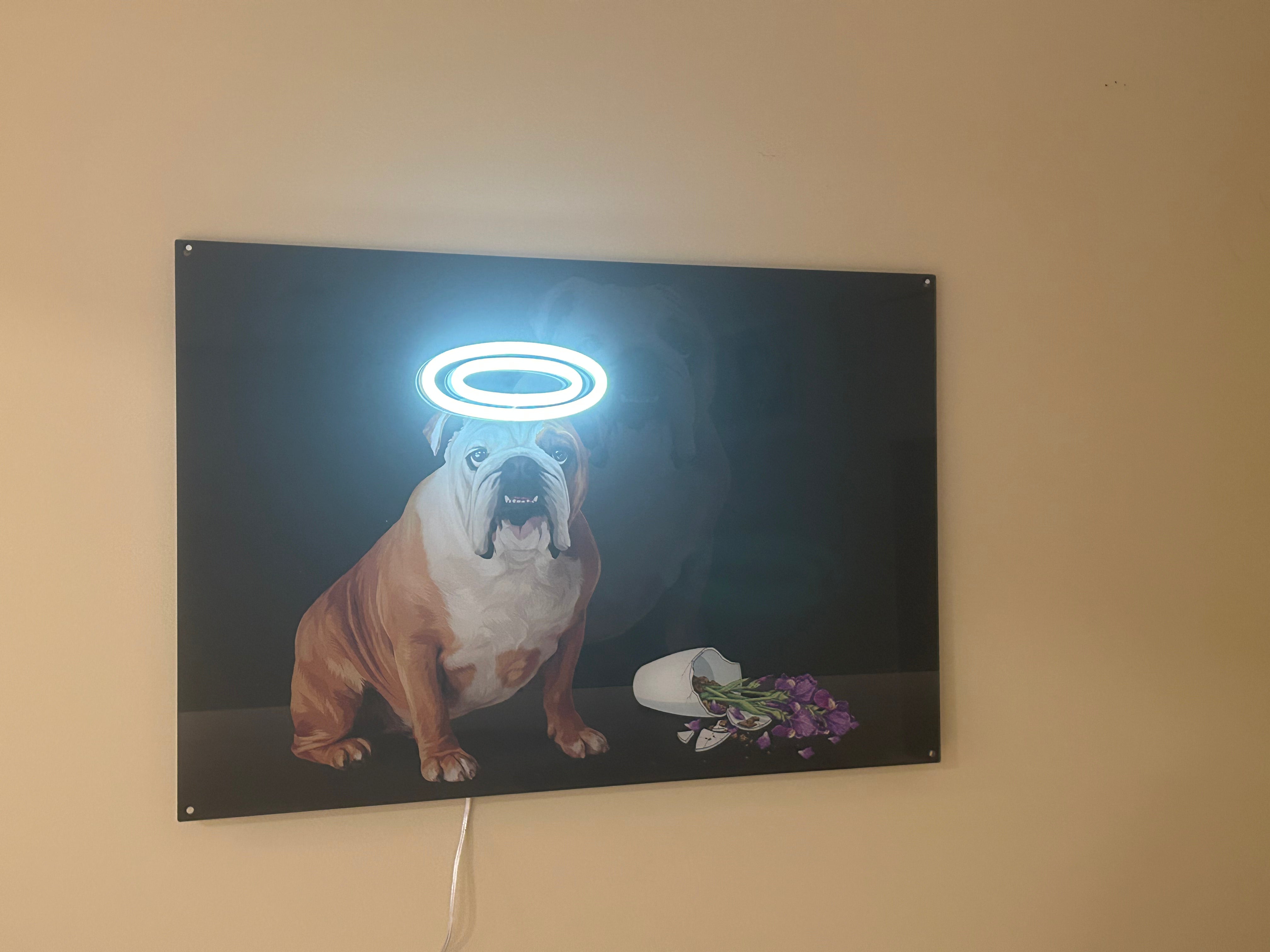 LED Wall Art + Drawing Package